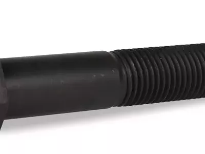 sruba-19